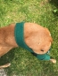 Preview: Hunde-Bandage für das Kniegelenk