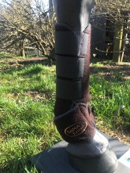 Reitgamasche braun