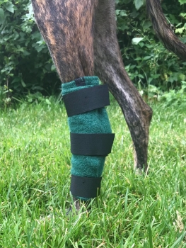 Hunde-Bandage für das Sprunggelenk