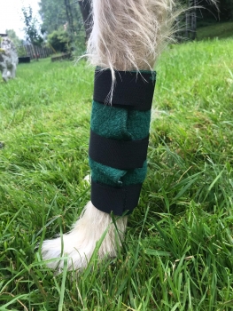 Hunde-Bandage für das Vorderbein