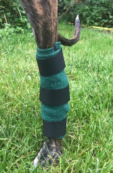 Hunde-Bandage für das Sprunggelenk