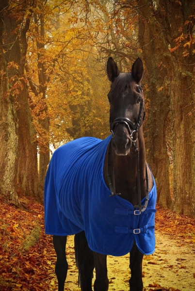 Parade blankets with bionic fiber trimmings, size 145